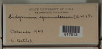 Image Associated With the Occurence